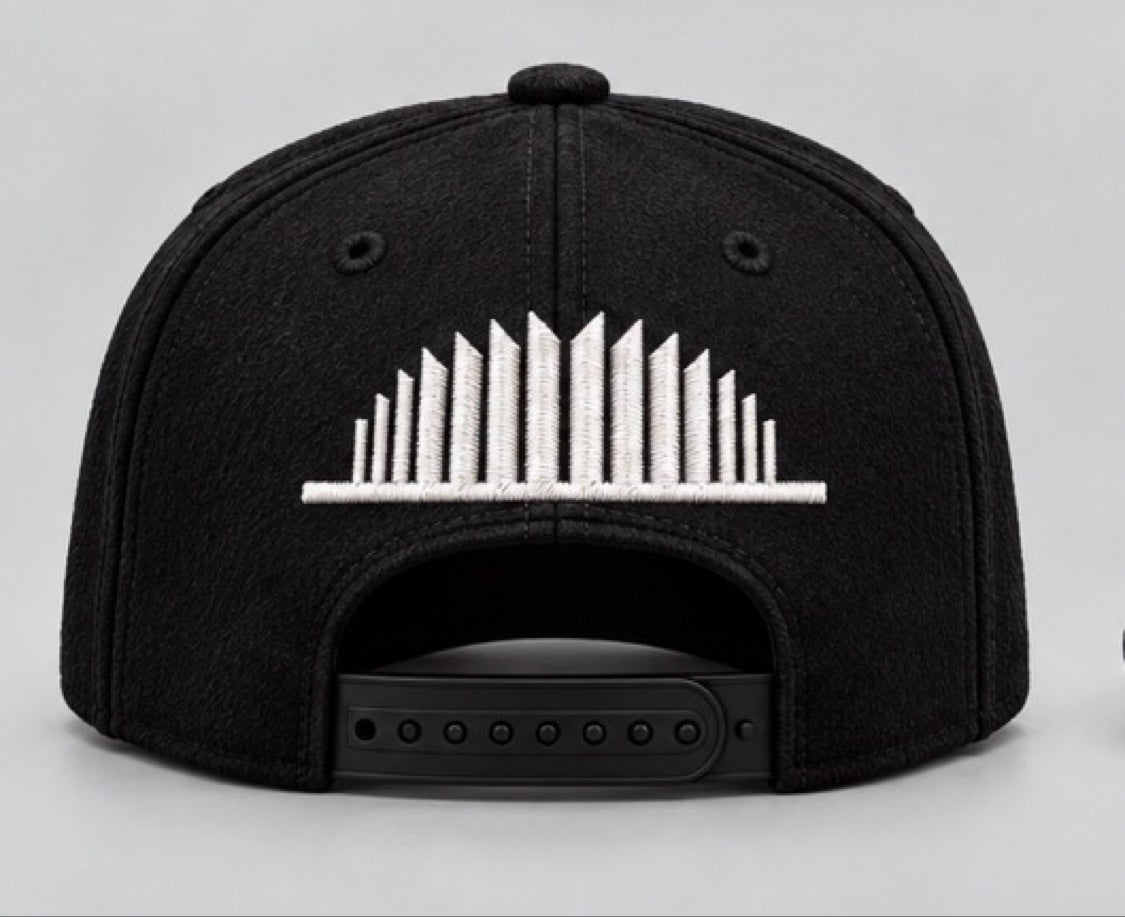 KNY snapback - back (skyline)
